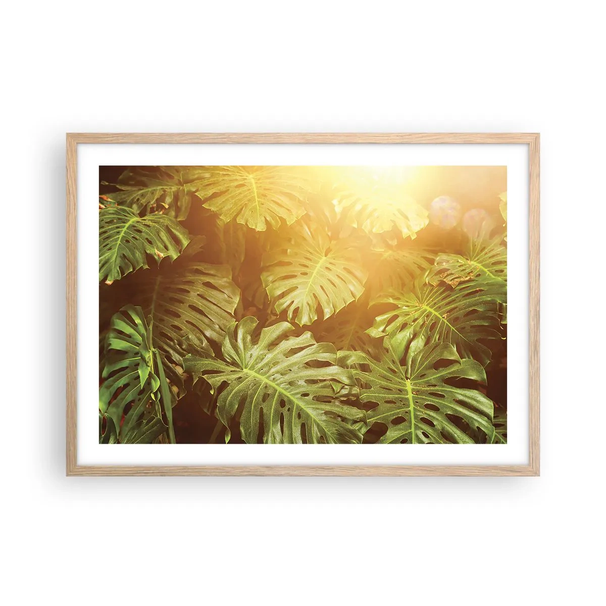 Een poster in een licht eiken lijst - In het groen treden... - 70x50 cm