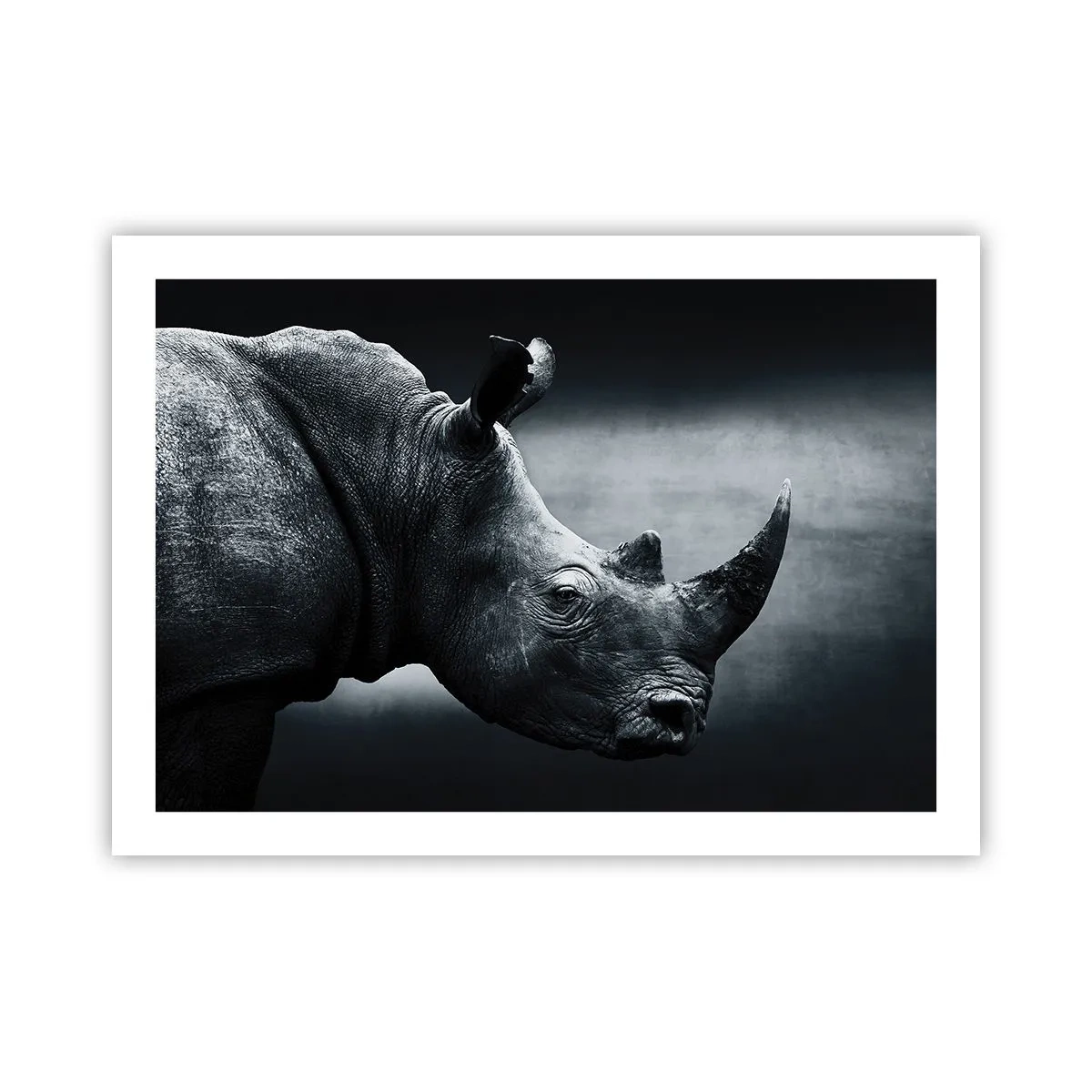 Poster - Rechts profiel - 70x50 cm