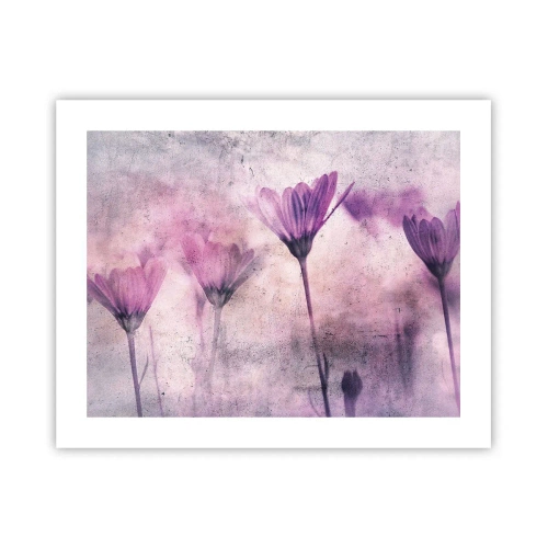 Poster - Een droom van bloemen - 50x40 cm