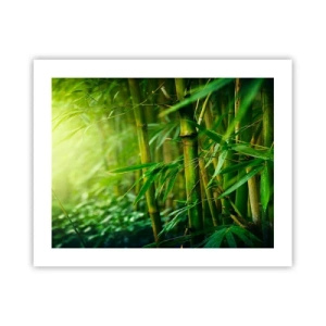 Poster - Maak kennis met groen zelf - 50x40 cm