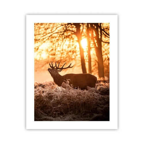 Poster - De droom van een jager - 40x50 cm