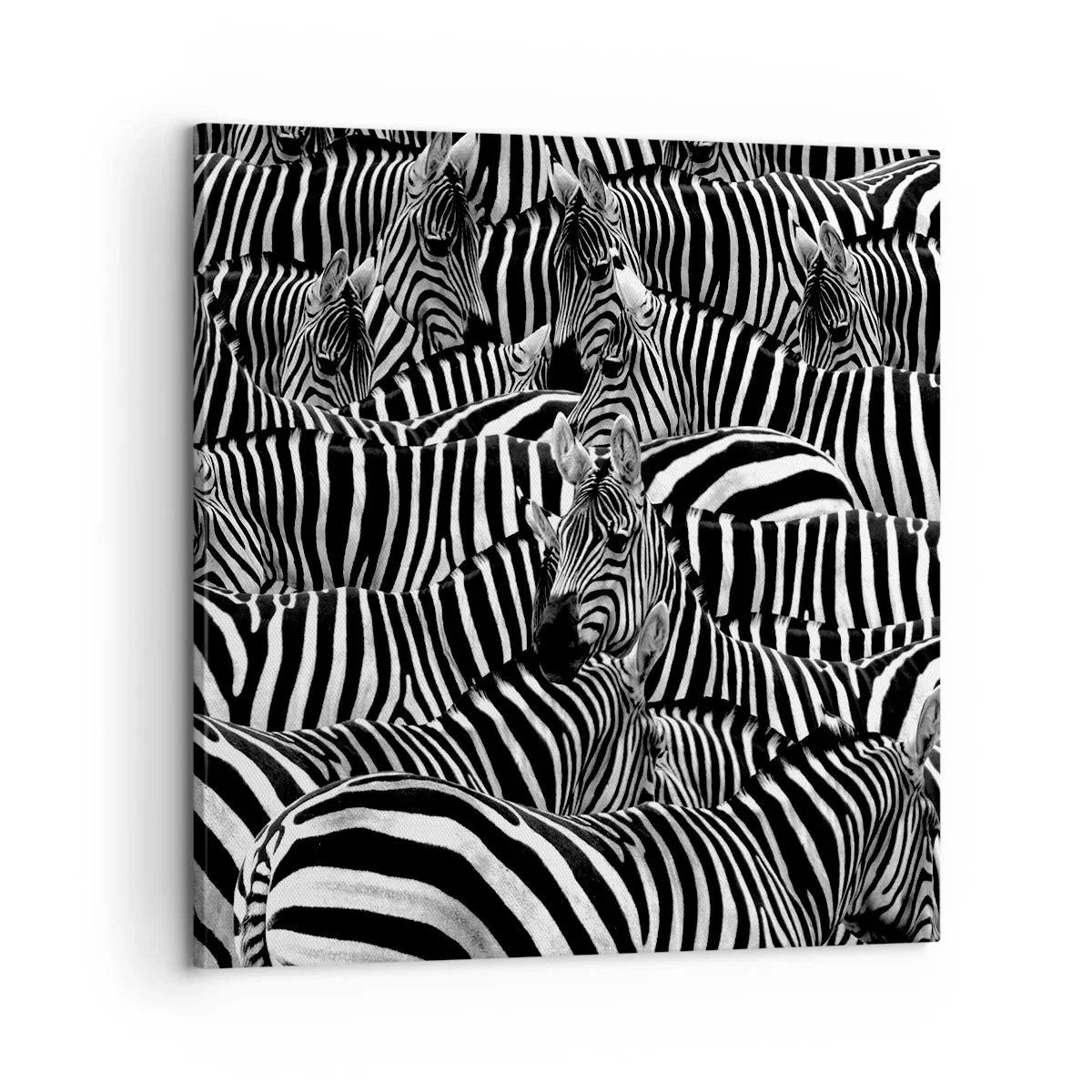 Schilderen op canvas - Groepsportret met strepen - 60x60 cm