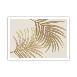 Poster - Gouden Palm! - 100x70 cm