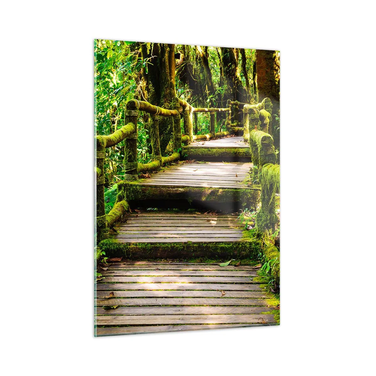 Schilderen op glas - Door de gang van groen - 50x70 cm