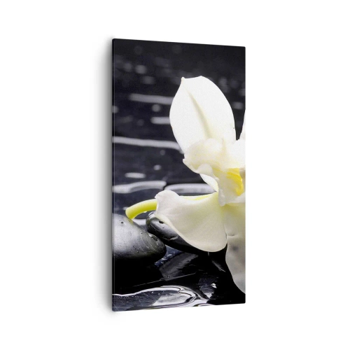 Schilderen op canvas - Een studie in zwart-wit - 55x100 cm