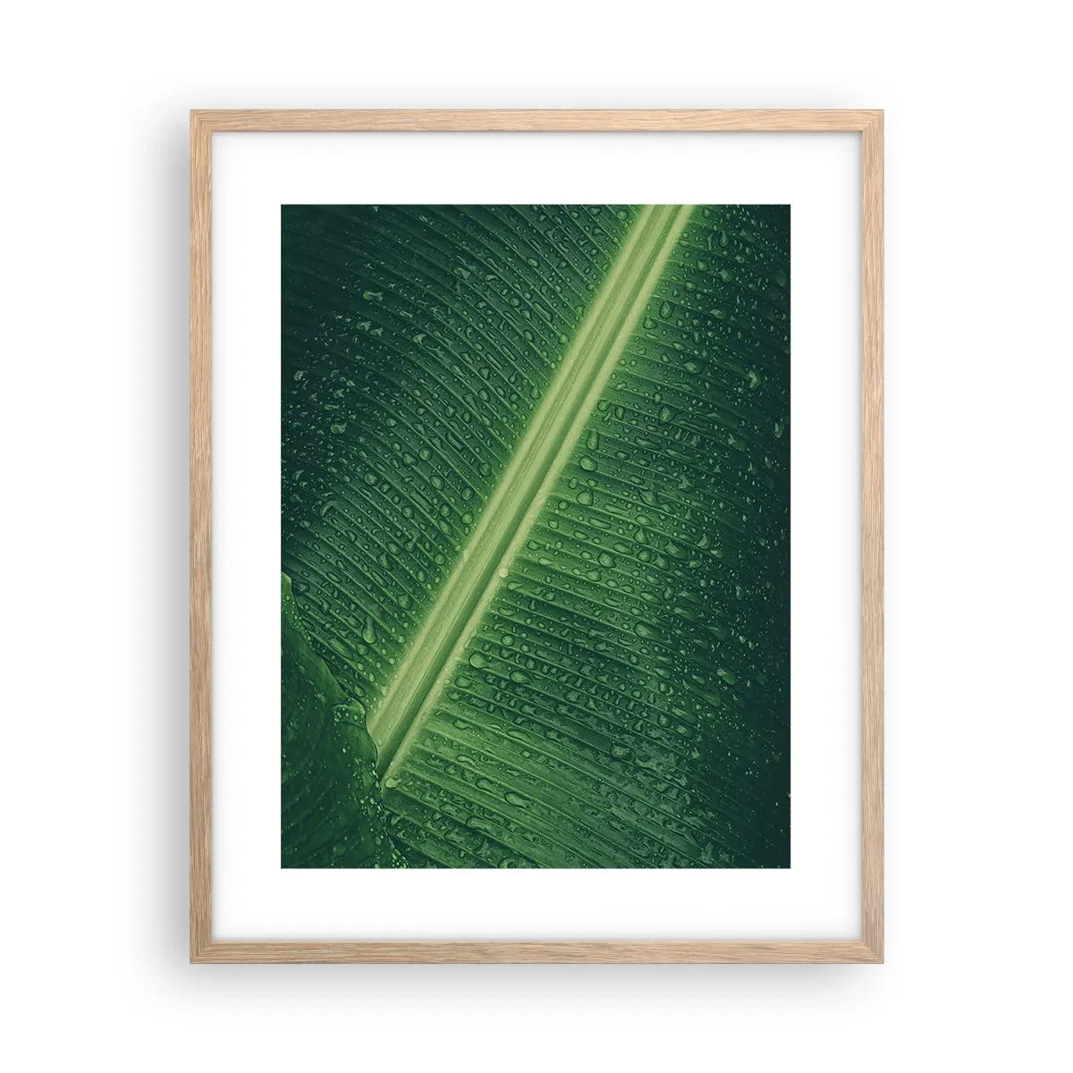 Een poster in een licht eiken lijst - De structuur van groen - 40x50 cm