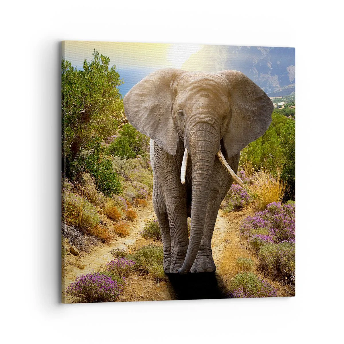 Schilderen op canvas - Zo zag Eden eruit - 70x70 cm