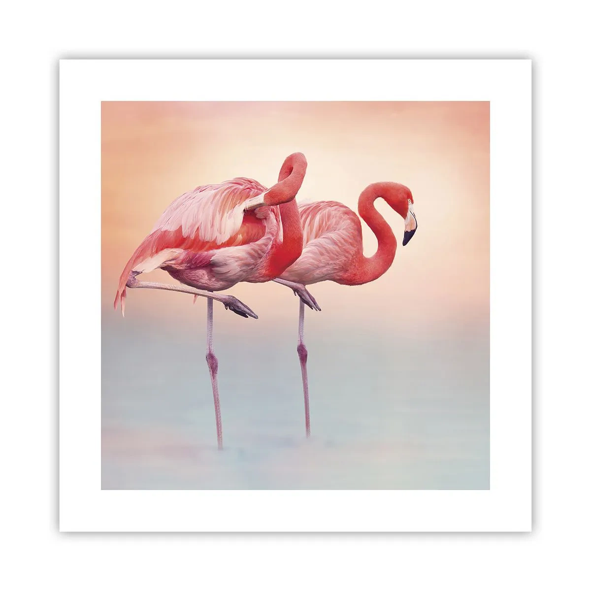 Poster - De kleur van de ondergaande zon - 40x40 cm