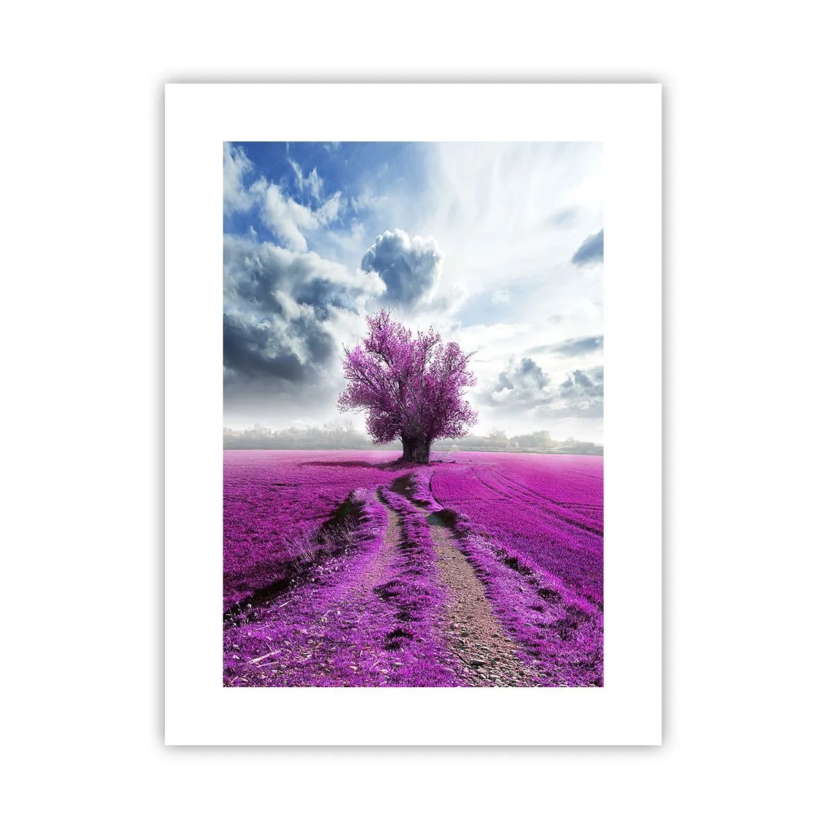 Poster - Heide - heilige plek - 30x40 cm
