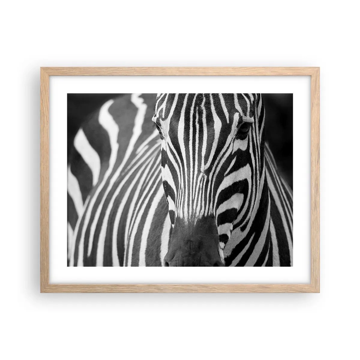 Een poster in een licht eiken lijst - De wereld is zwart-wit - 50x40 cm