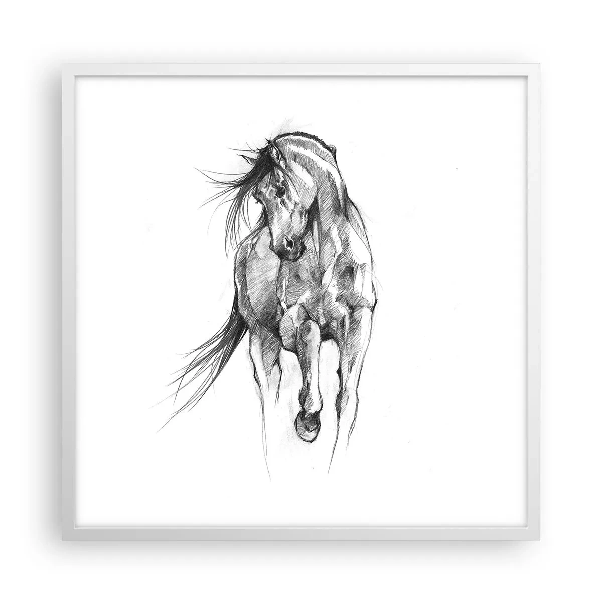 Poster in een witte lijst - In een sierlijke draf - 60x60 cm