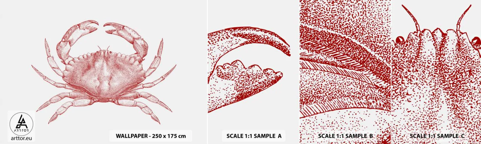Fotobehang Staaltje Standard Eco - Krab der krabben - Krab, Zeevruchten, Schelpdieren - 100x30 cm