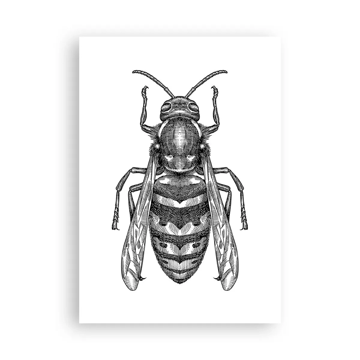 Poster - Van een insectenplaneet - 70x100 cm