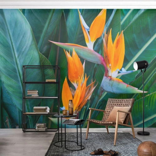 Zelfklevend Fotobehang Deluxe Sticker - Is het een bloem of is het een vogel? - Strelitzia Koninklijk, Bloem, Afrika - 100x70 cm