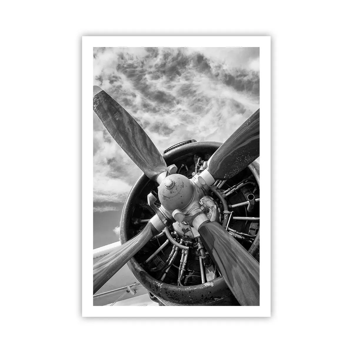 Poster - Veroveraar van de lucht - 61x91 cm