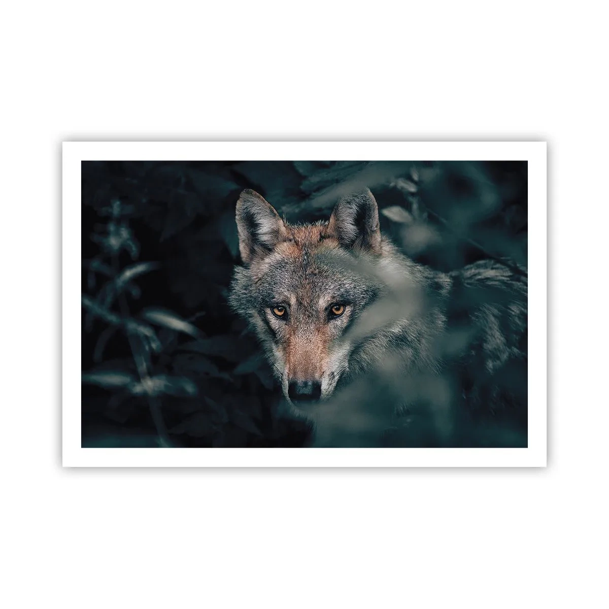 Poster - Jager - 91x61 cm