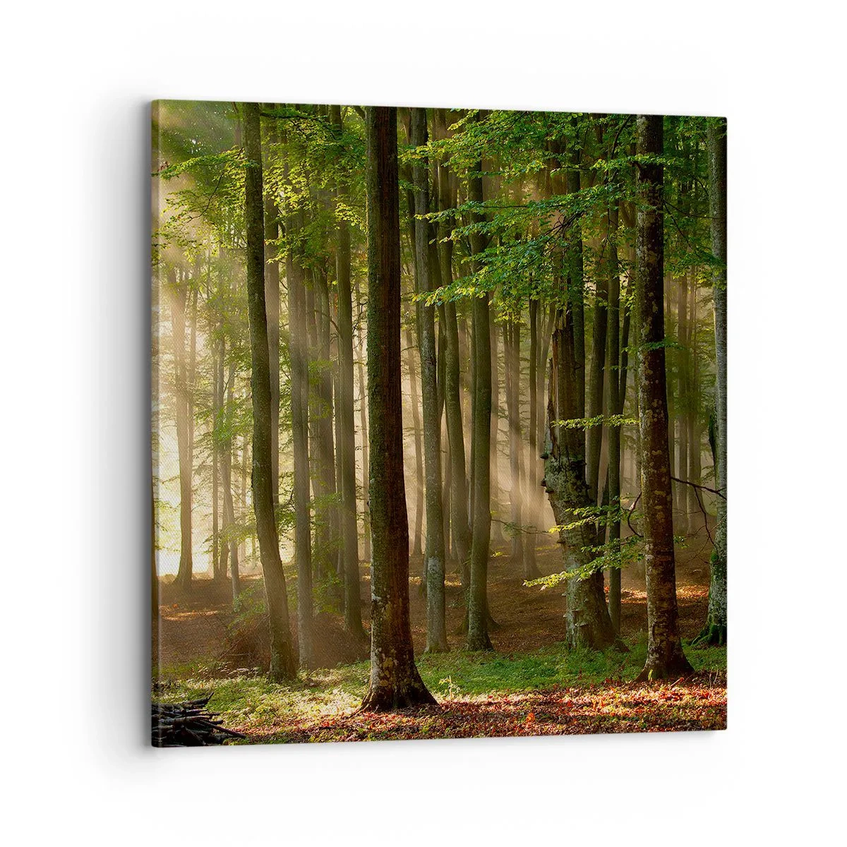 Schilderen op canvas - Stralend op een lentemorgen - 70x70 cm