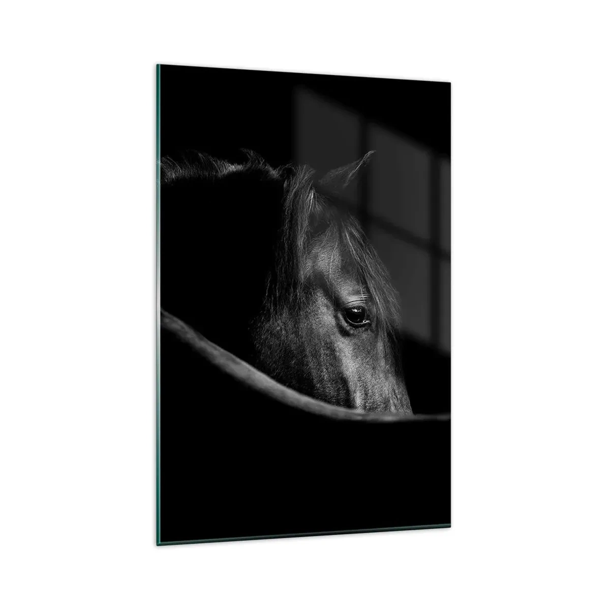 Schilderen op glas - Zwarte Prins - 80x120 cm