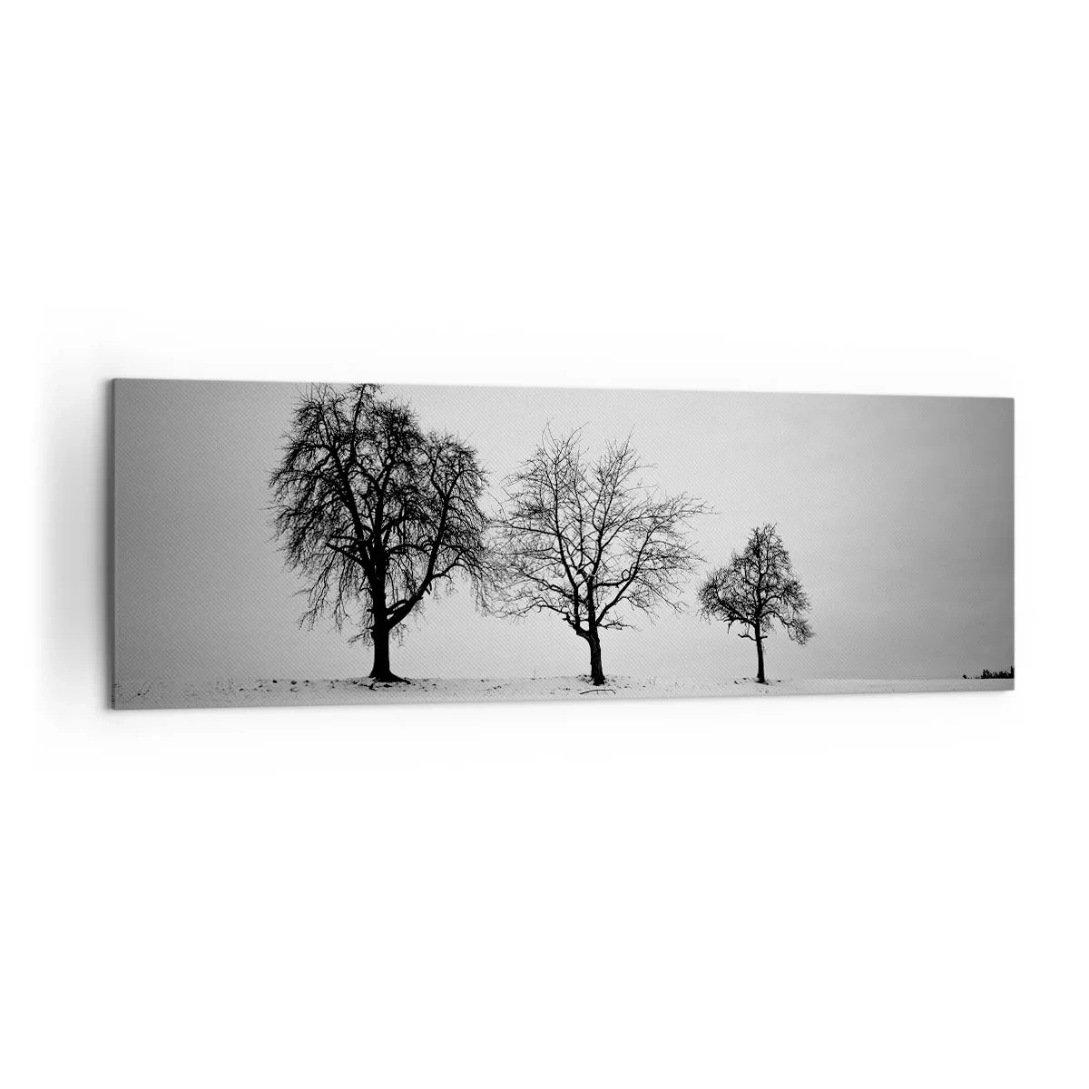 Schilderen op canvas - Waar dromen ze over? - 160x50 cm