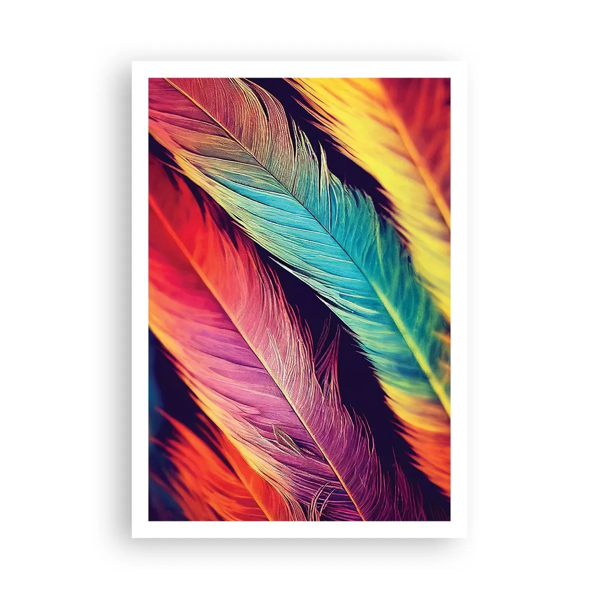 Poster - Gevederde regenboog - 70x100 cm