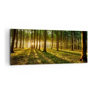 Schilderen op canvas - Foto van de hele lente - 100x40 cm