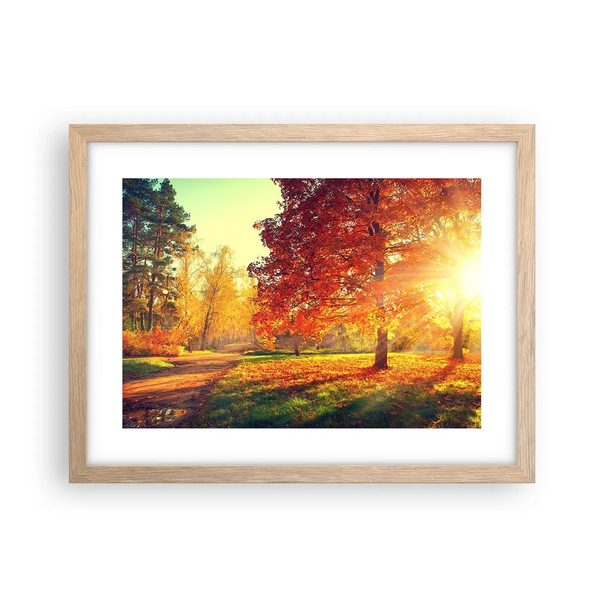 Een poster in een licht eiken lijst - Rood is mooi - 40x30 cm