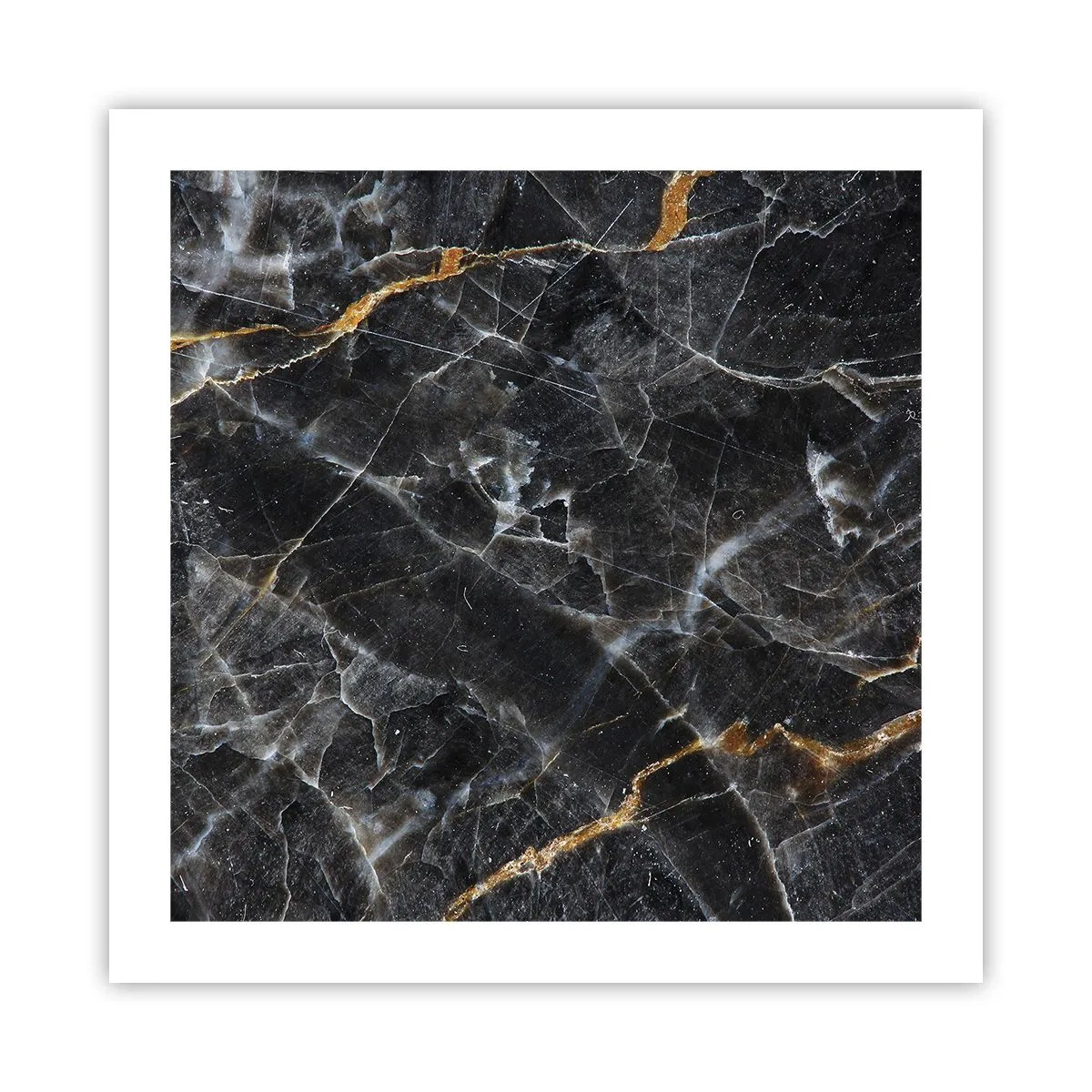 Poster - Het innerlijke leven van de steen - 50x50 cm