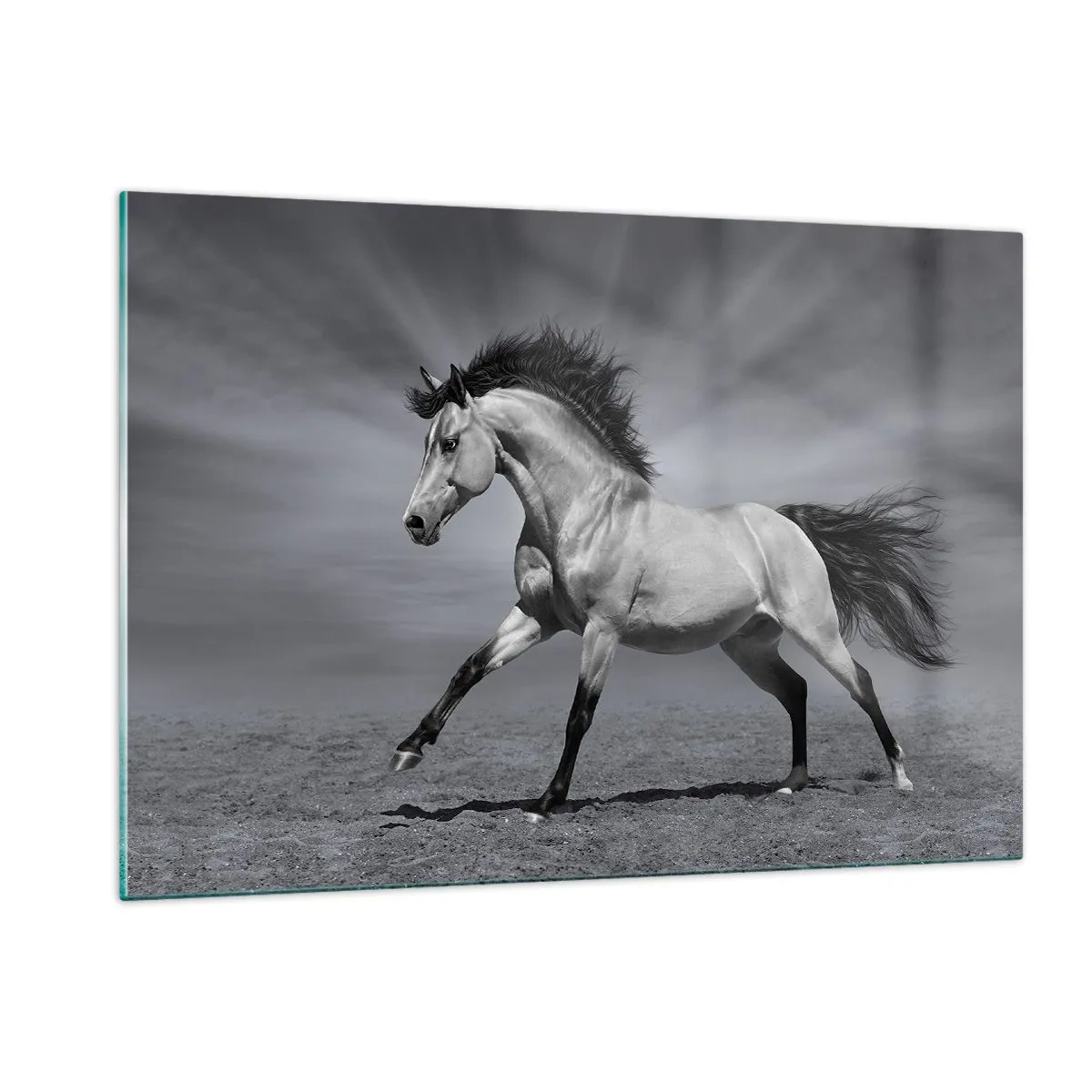 Schilderen op glas - Geboren om te genieten - 120x80 cm