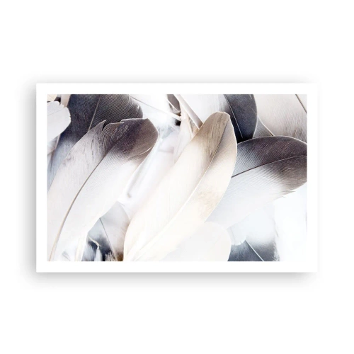 Poster - Bijna engelachtig - 91x61 cm