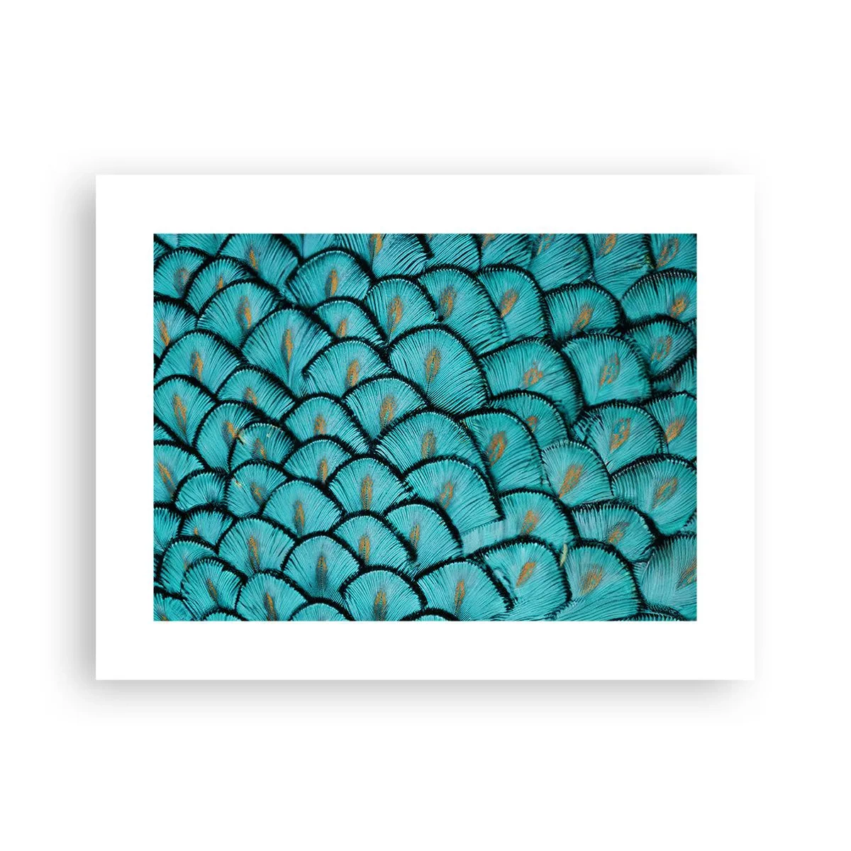 Poster - Het grote verengala - 40x30 cm