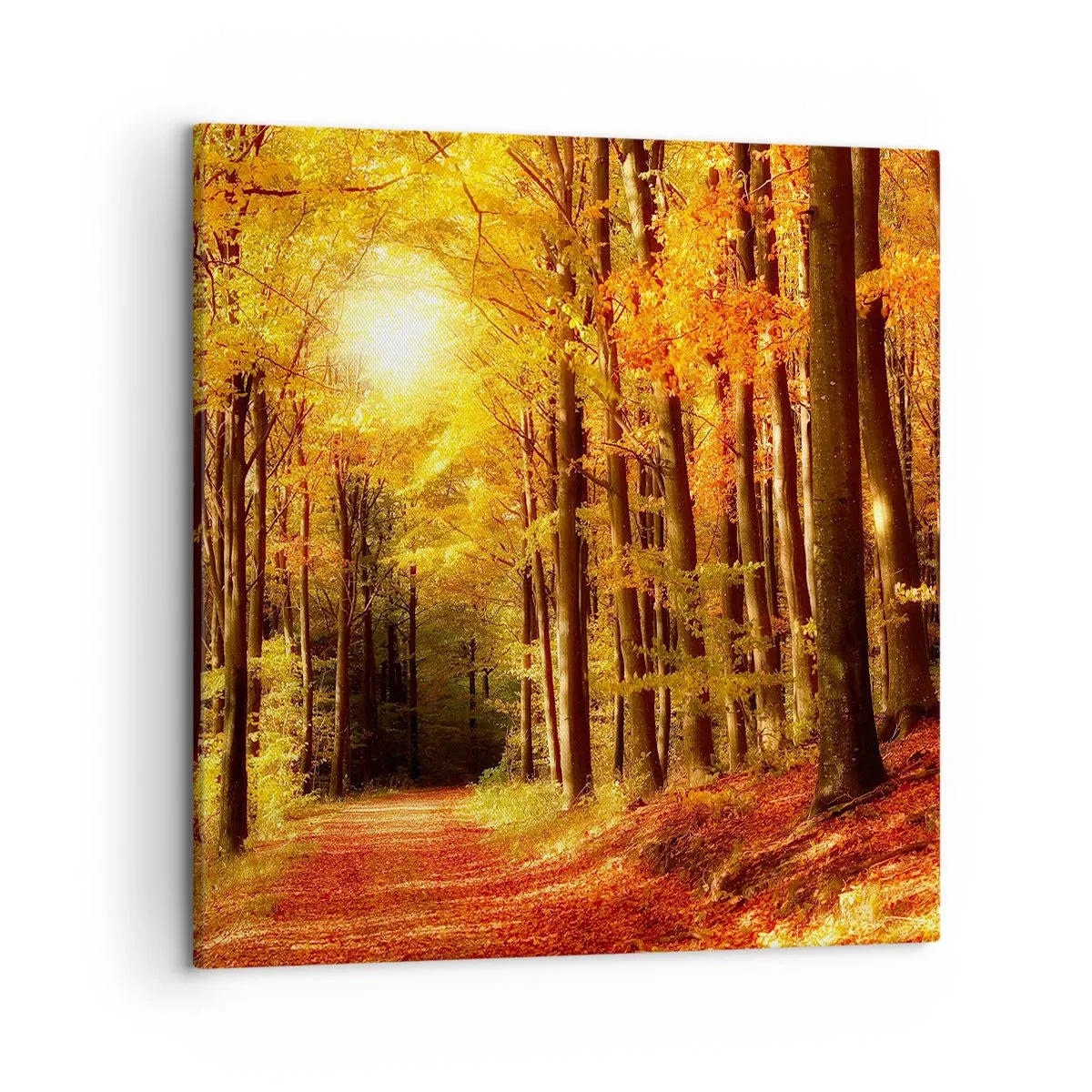 Schilderen op canvas - Gouden herfst op een bosweg - 50x50 cm
