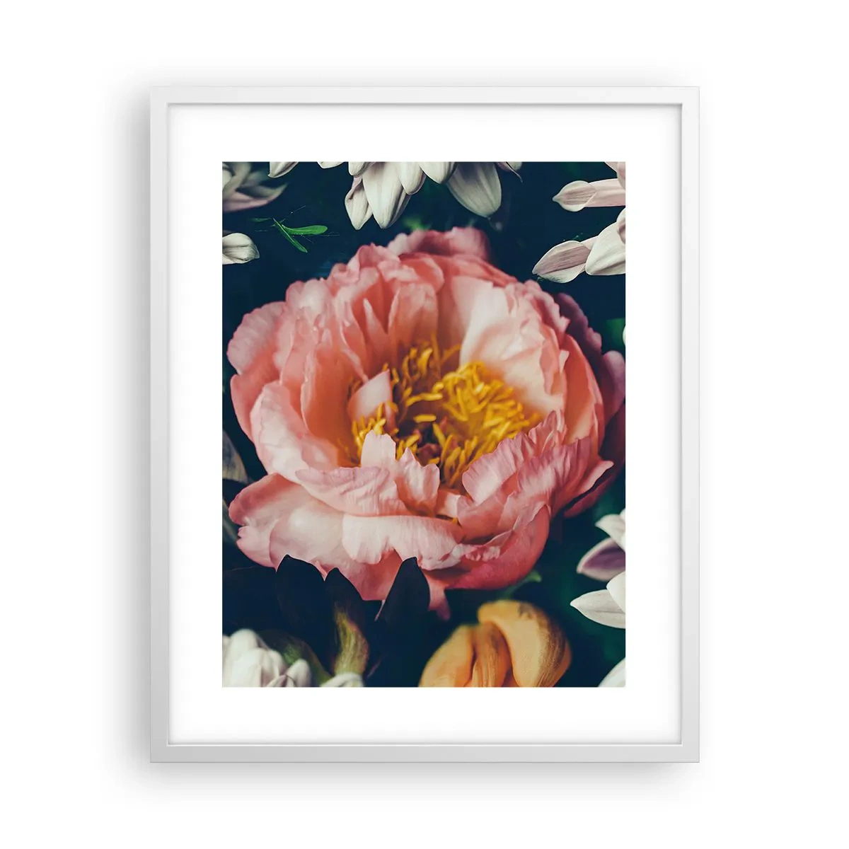 Poster in een witte lijst - Met barokke pracht - 40x50 cm