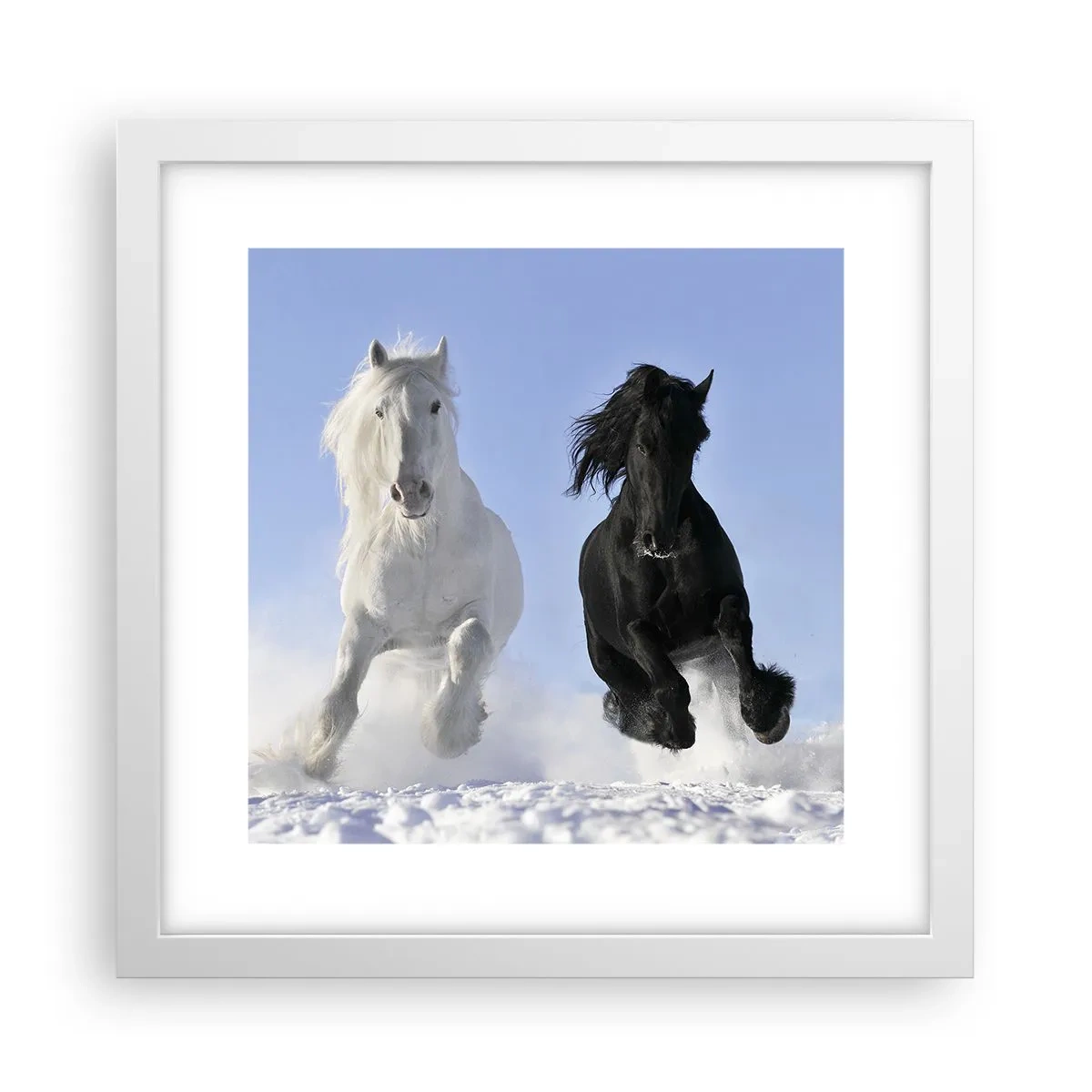 Poster in een witte lijst - Zwart-wit galop - 30x30 cm