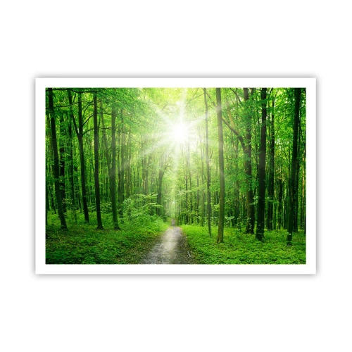 Poster - De groene kathedraal - 100x70 cm