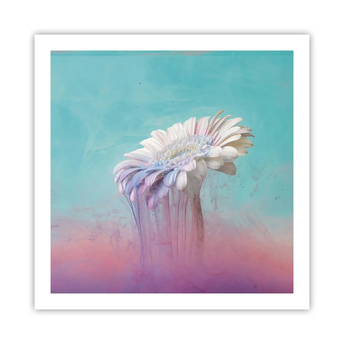 Poster - De bloemenonderwereld - 60x60 cm