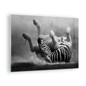 Schilderen op glas - Een zebra ligt op de Afrikaanse savanne - 70x50cm - Niet alleen het paard zou lachen - Moderne wanddecoratie voor woonkamer en slaapkamer ARTTOR