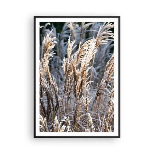 Poster in een zwarte lijst - Gekleed met vorst - 70x100 cm