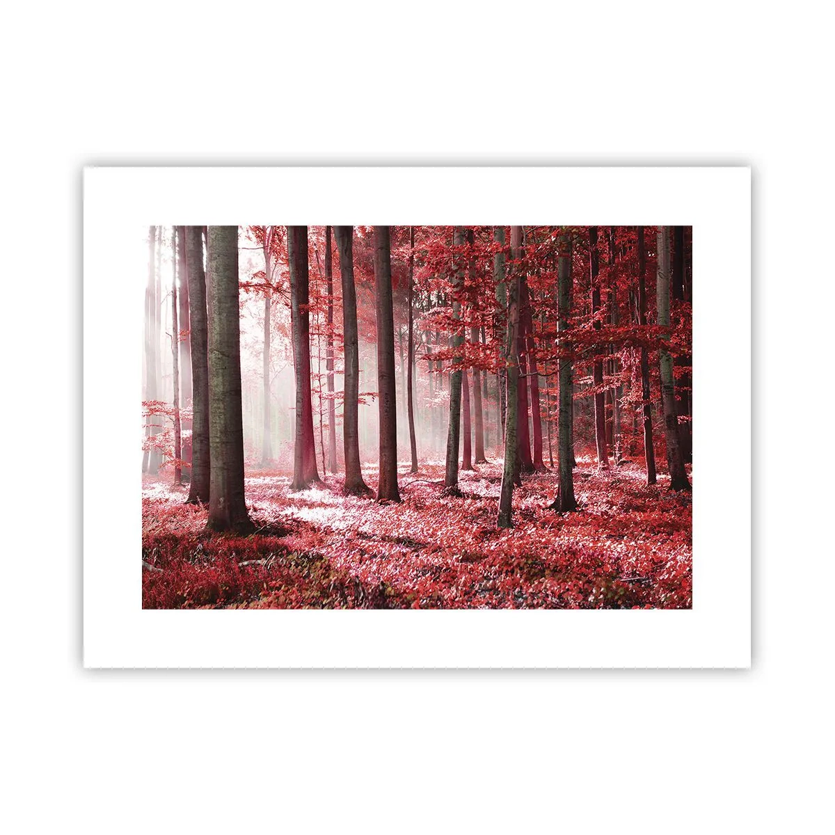 Poster - Rood is net zo mooi - 40x30 cm