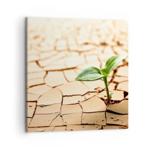 Schilderen op canvas - De ontembare kracht van het leven - 60x60 cm