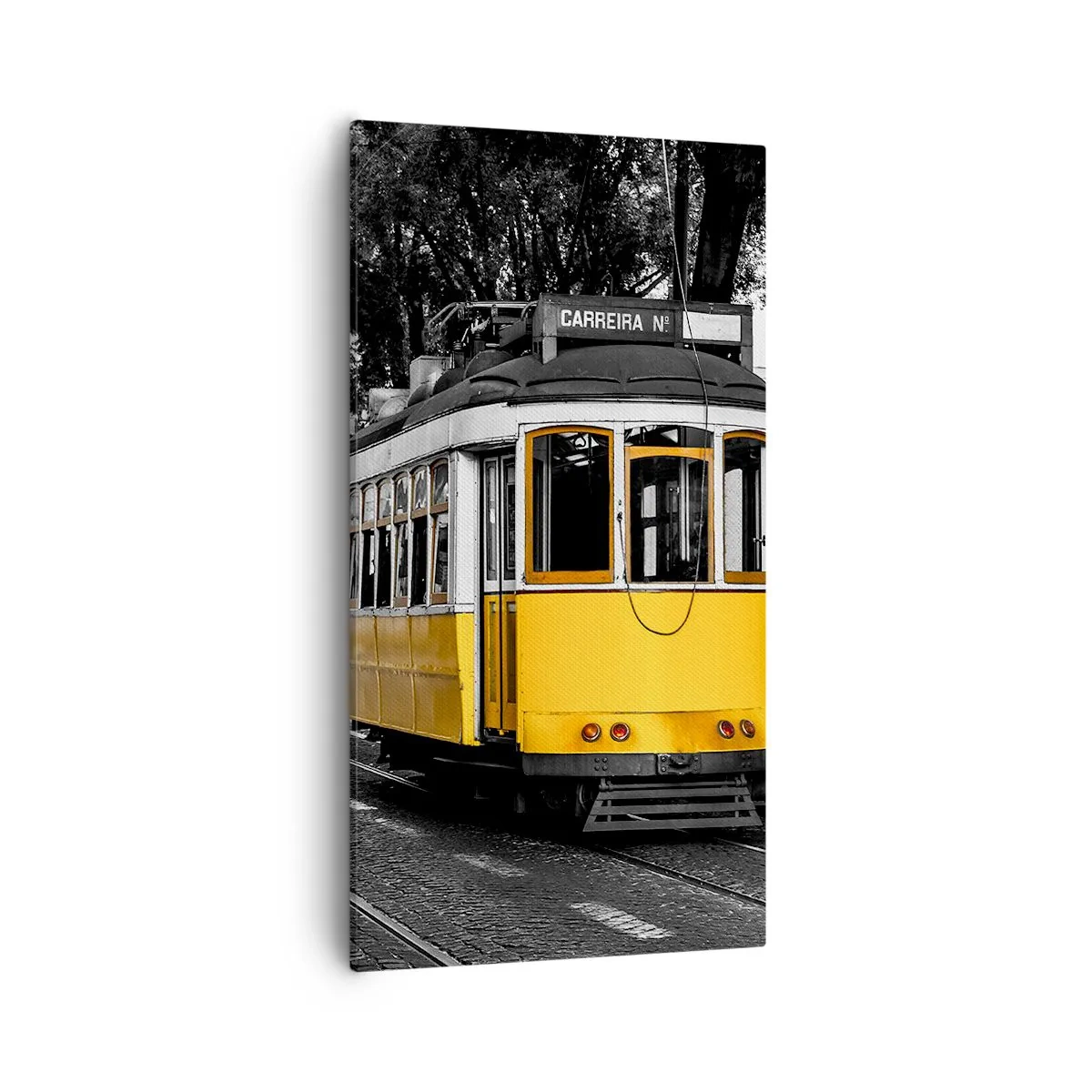 Schilderen op canvas - En op de achtergrond fado - 55x100 cm