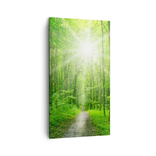 Schilderen op canvas - De groene kathedraal - 45x80 cm