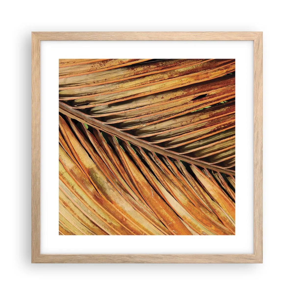 Een poster in een licht eiken lijst - Kokos goud - 40x40 cm