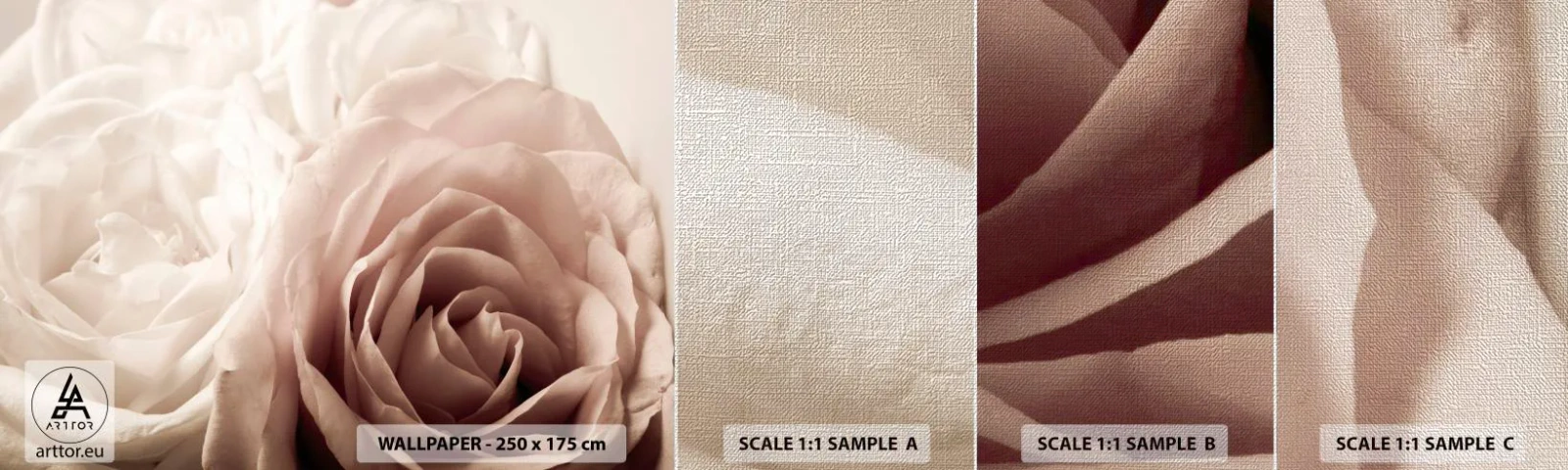 Fotobehang Monster Premium Canvas - In het hart van een roos - Rozen, Bloemen, Romantisch - 100x30 cm