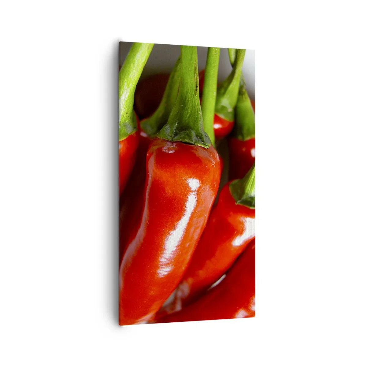 Schilderen op canvas - Sappig, glanzend, glad - 65x120 cm