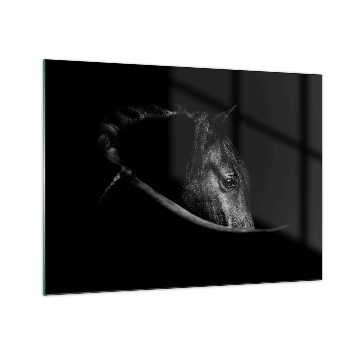 Schilderen op glas - Profiel van een zwart paard in de schaduw met een zichtbaar oog - 70x50cm - Zwarte Prins - Moderne wanddecoratie voor woonkamer en slaapkamer ARTTOR