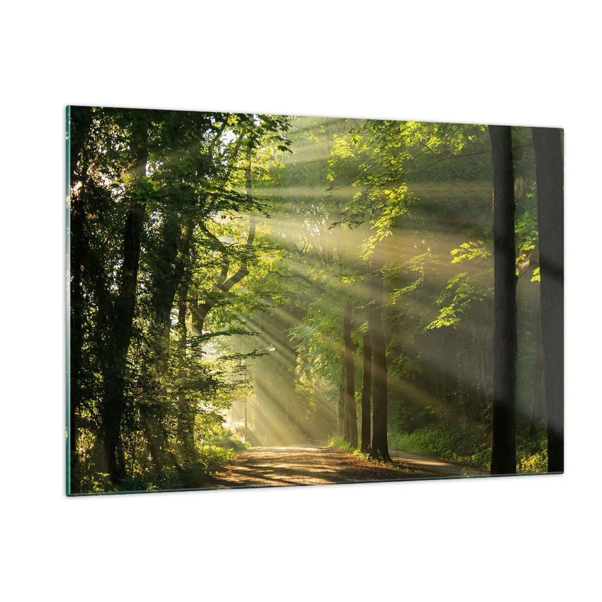 Schilderen op glas - Bosmoment - 120x80 cm