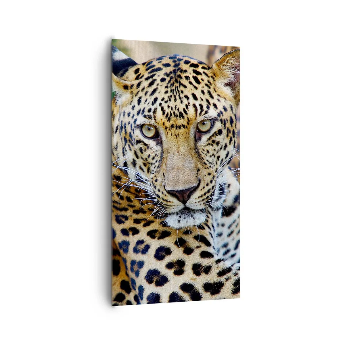 Schilderen op canvas - Wild en kalm - 65x120 cm