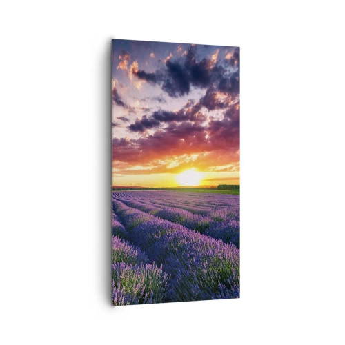 Schilderen op canvas - Lavendel wereld - 65x120 cm