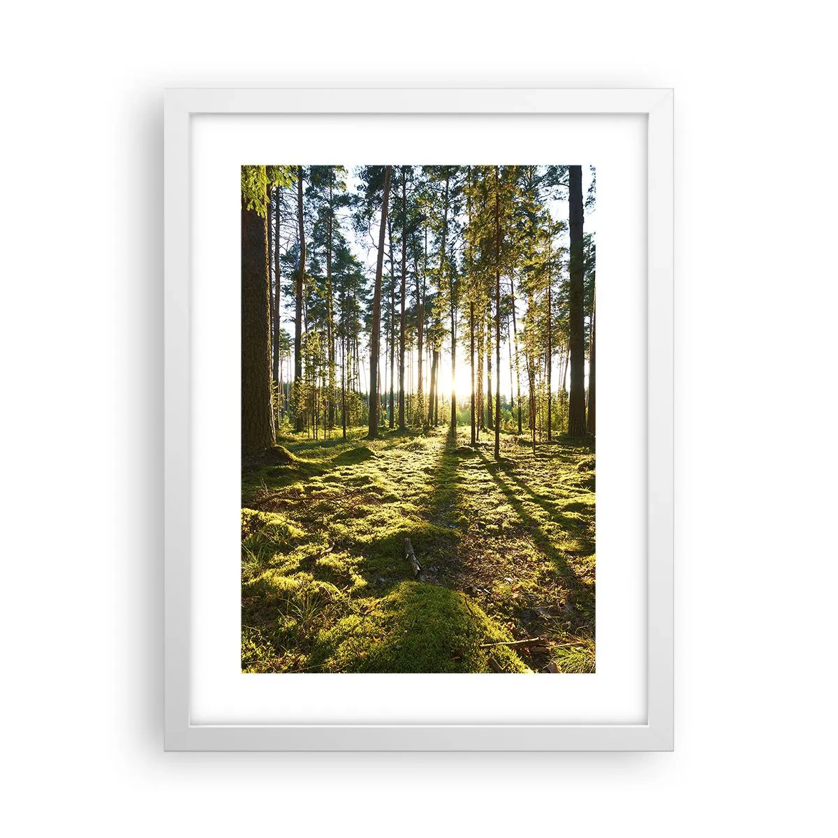 Poster in een witte lijst - … Achter de zeven bossen - 30x40 cm