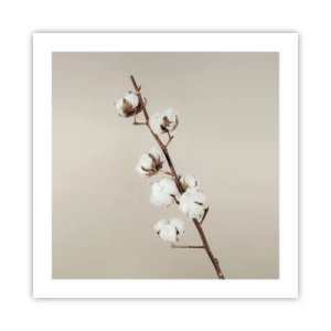 Poster - Aan de bron van zachtheid - 50x50 cm